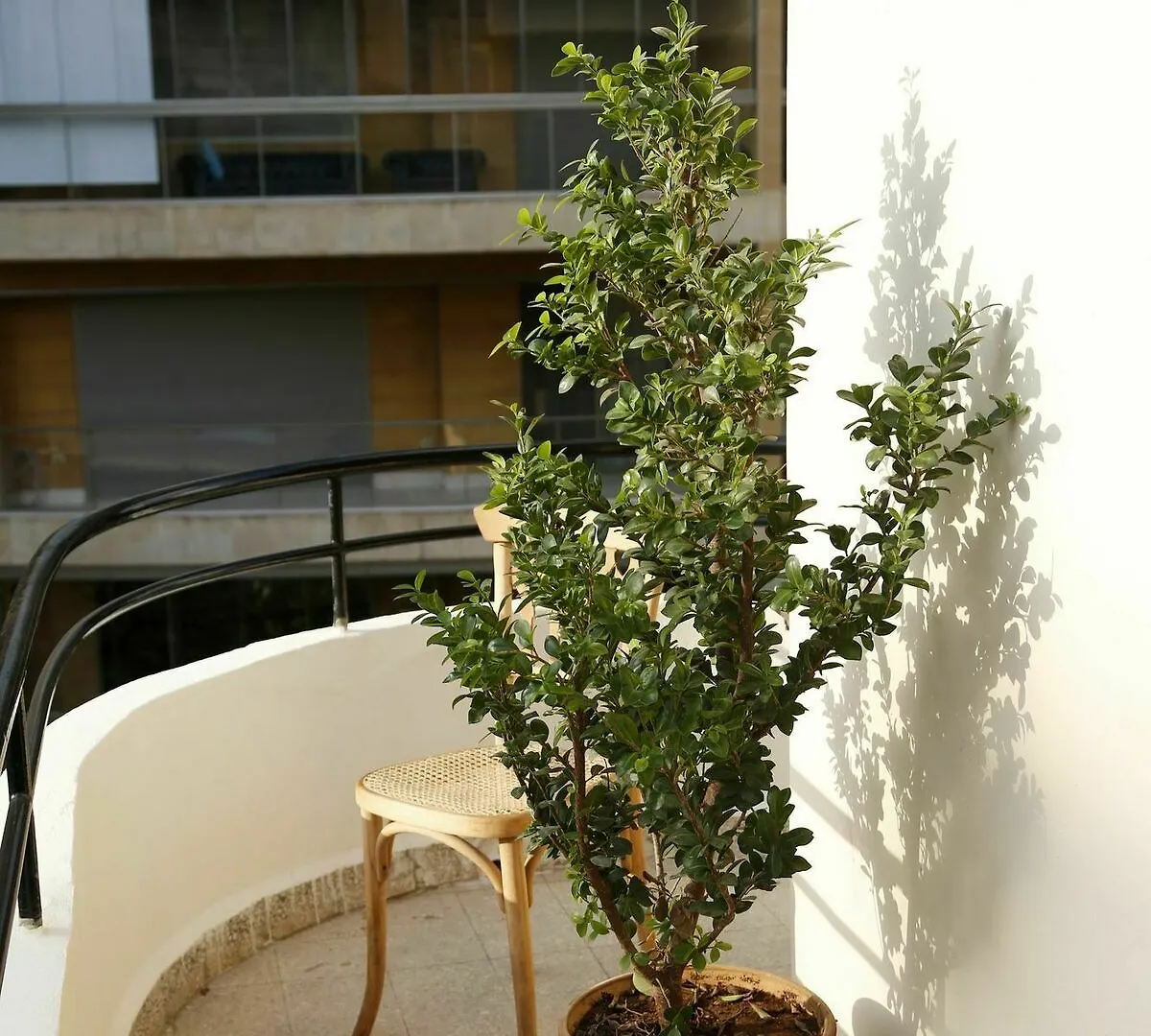 ***  Beyt Amir Hotel Beirut Lebanon